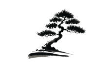 Bonsai:适合边缘设备运行的三值权重语言模型-首席AI分享圈